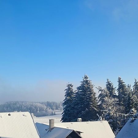 Pension Thüringer Wald - Monteurzimmer Reichmannsdorf Exterior foto